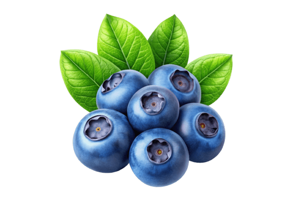 Blueberries with Green Leaves PNG Images for Your Designs